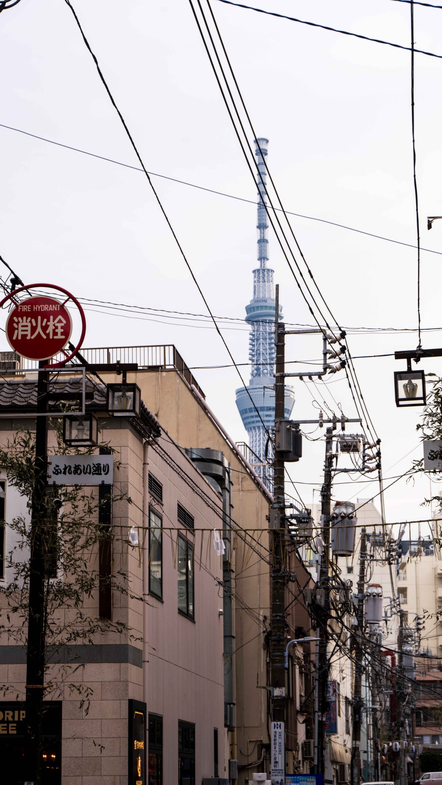 一个人在日本旅行