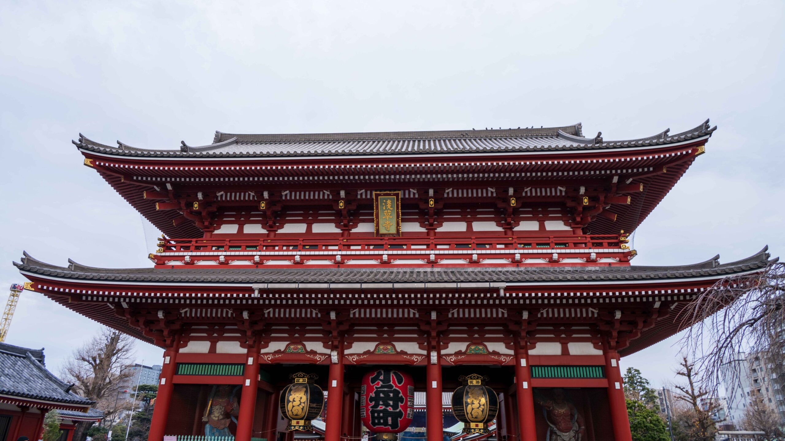 一个人在日本旅行