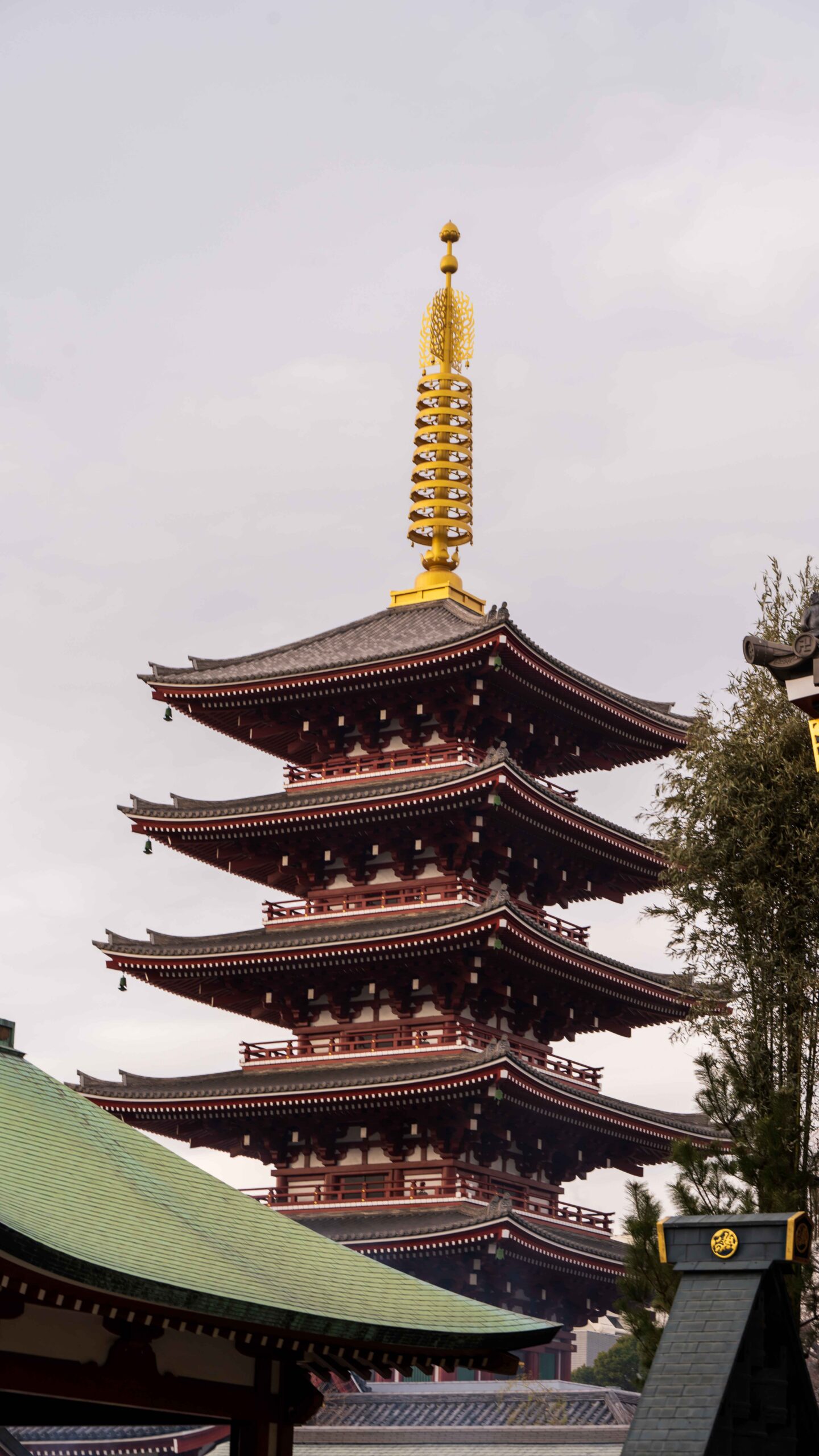 一个人在日本旅行