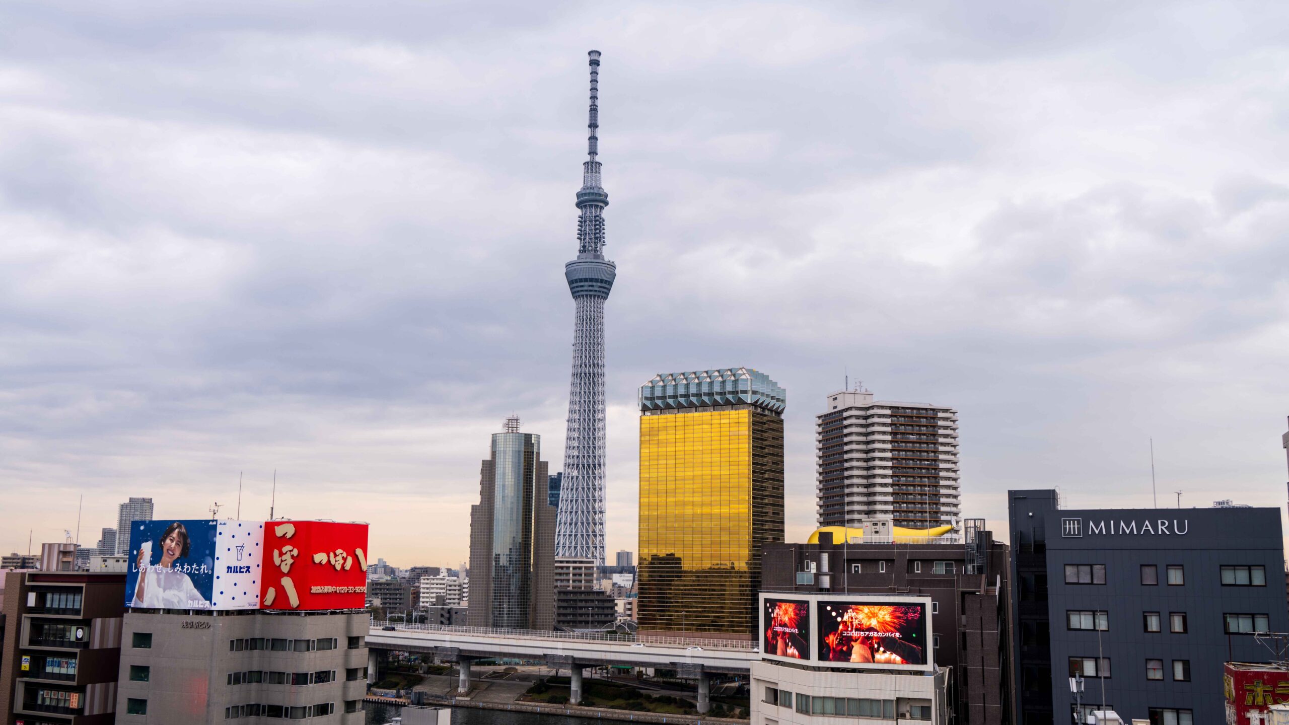 一个人在日本旅行