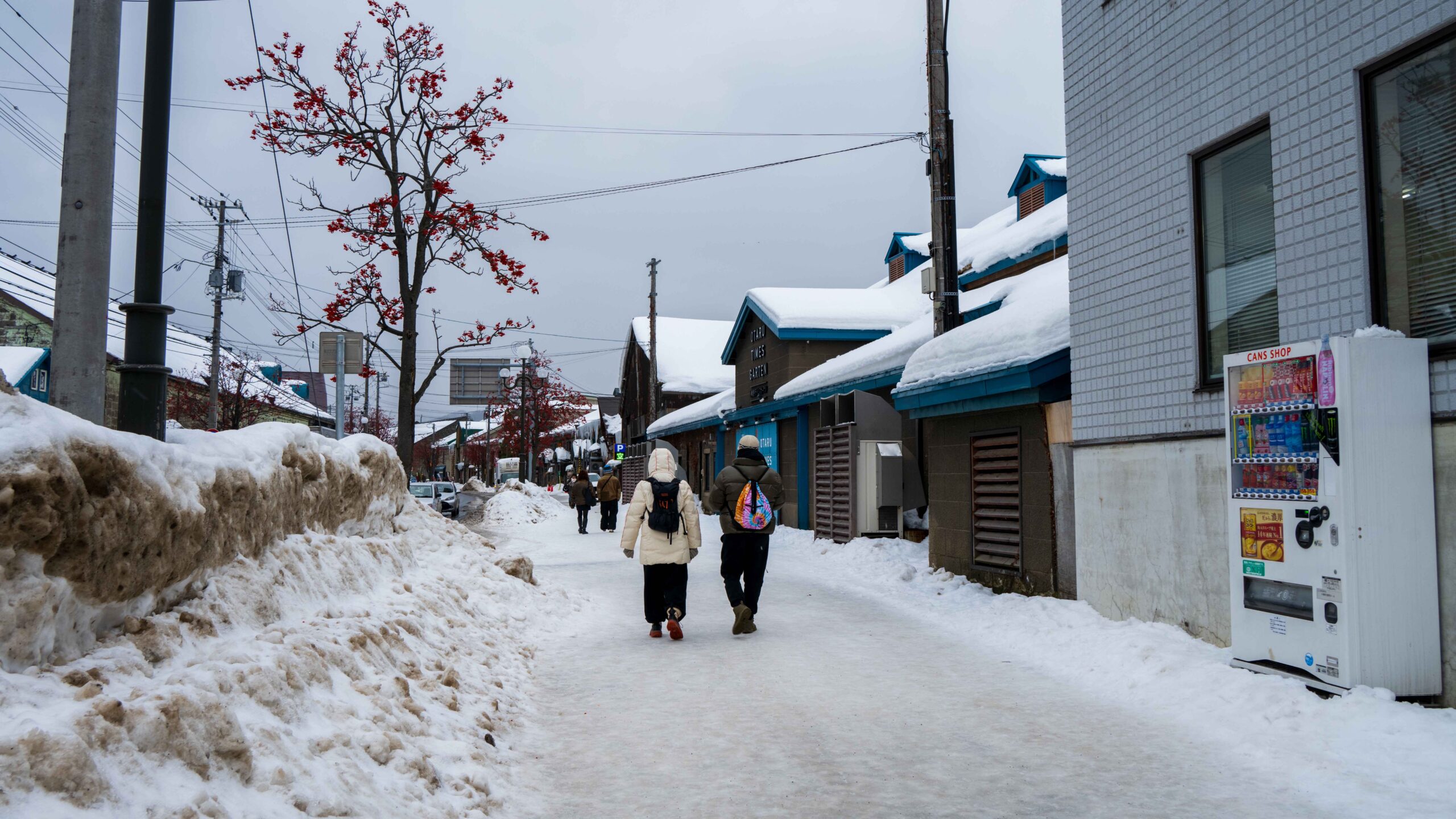 一个人在日本旅行