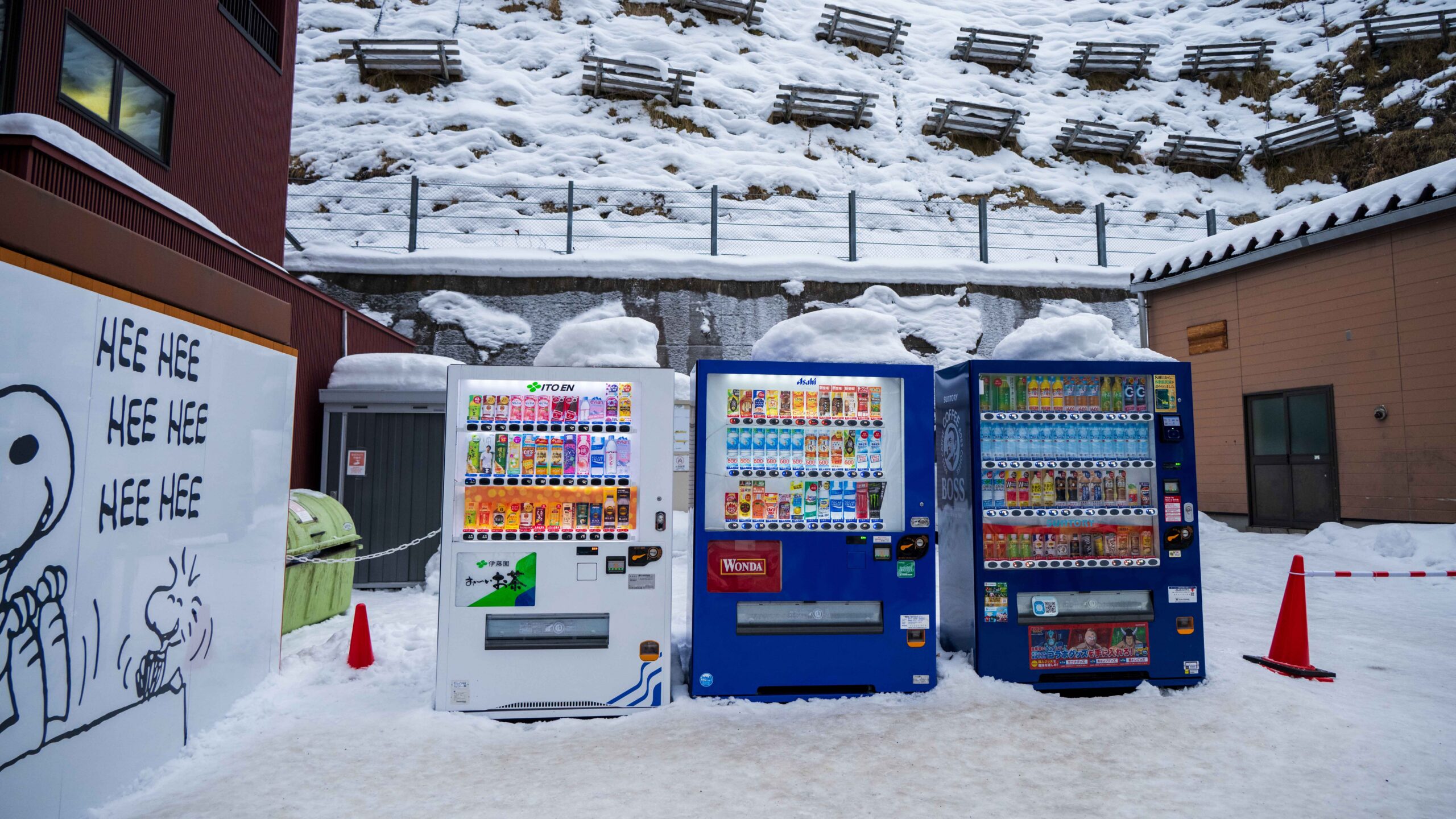 一个人在日本旅行