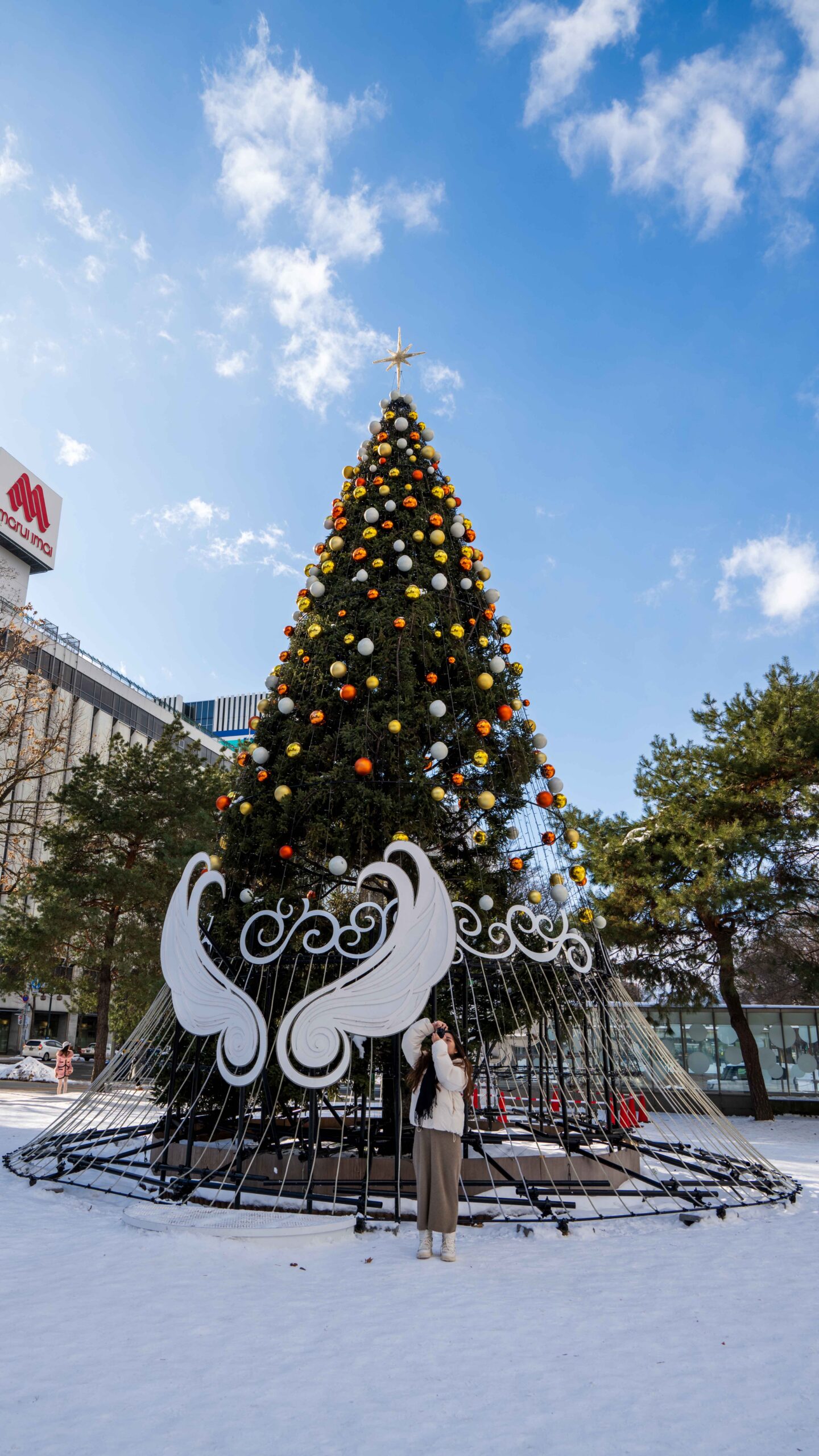 一个人在日本旅行